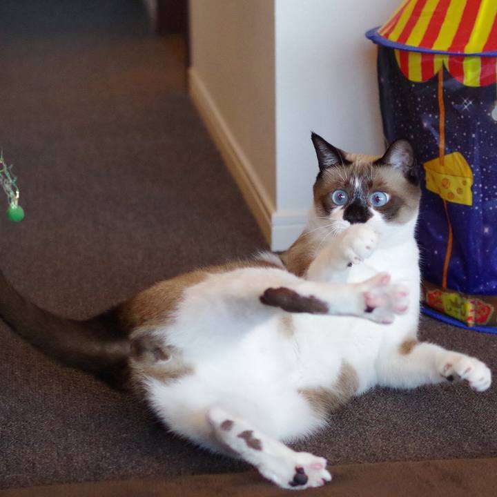 Ecd0c37c dd22 44f3 8843 cc8014dc20ba