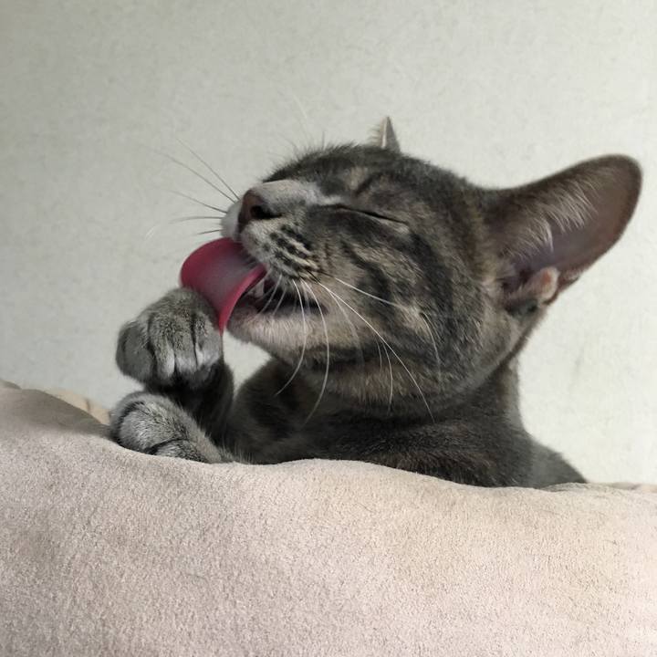 Ecd0d693 ed60 4e7a ade3 40d60bcf01b0