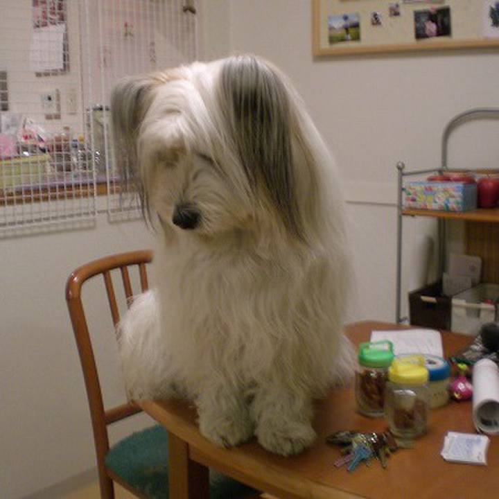 Ecd0da77 8b60 4dbe 8708 f3e899e342e3