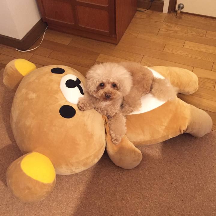 Ecd15c0b c096 410e a5ab bce3a3a10198