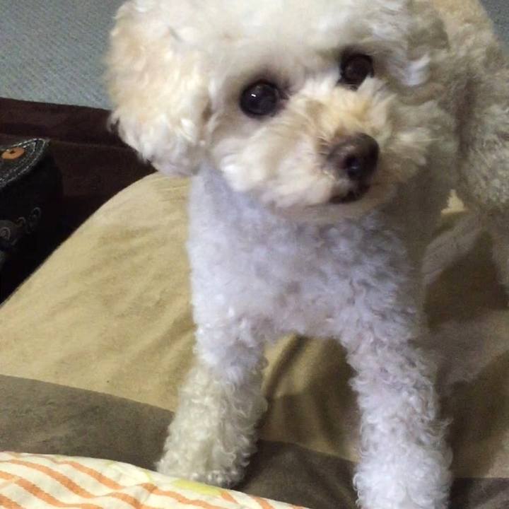 Ecd17160 614a 43ff 996a c9e8b349fabb