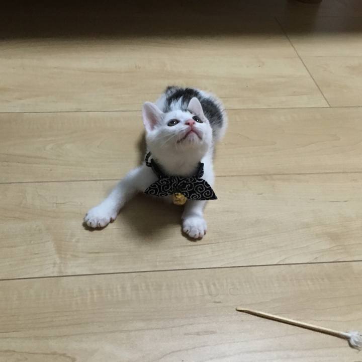 Ecd1bd9c 1149 44d8 a6fc 2c271508dda8