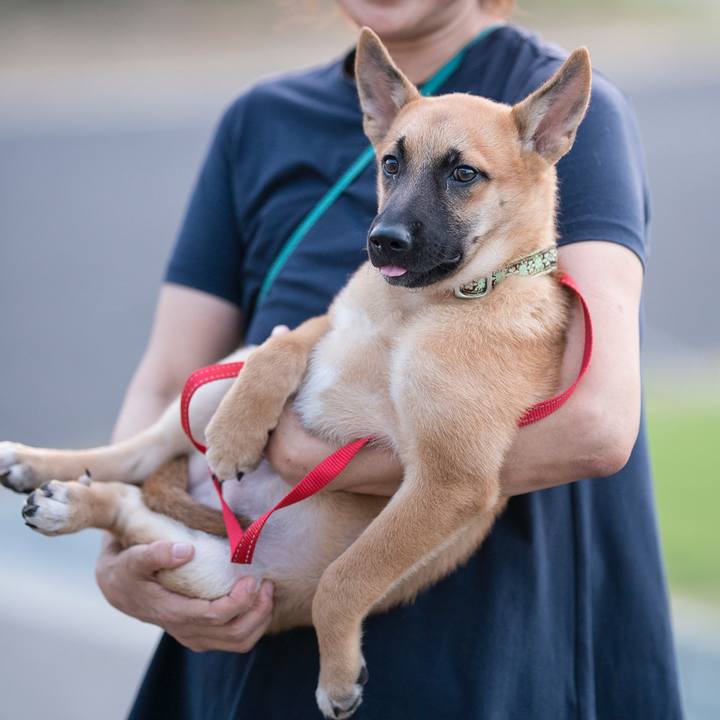 Ecd1c56b 911d 45ee 8e5d 286d714079e2