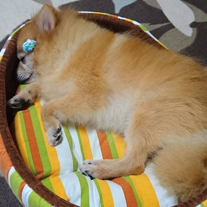 Ecd1d775 c425 4963 8c1b 552f3133e760