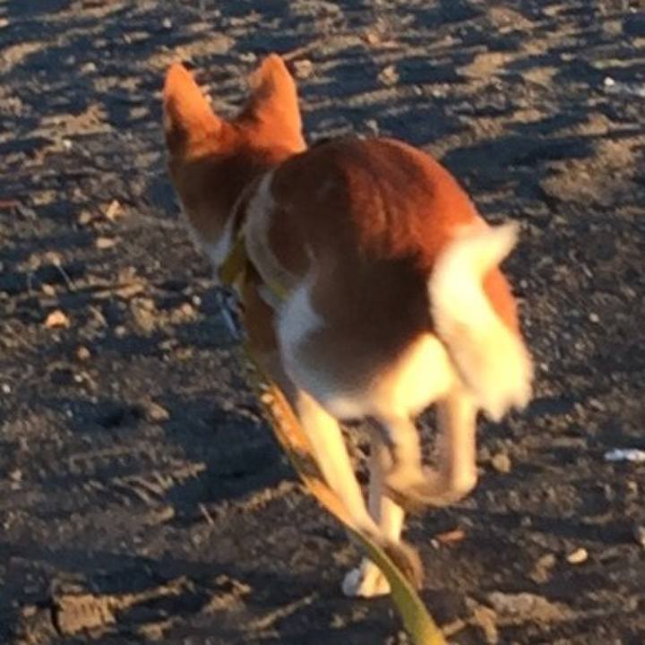 Ecd20138 ec13 47f0 8d6b aacd1a40a204