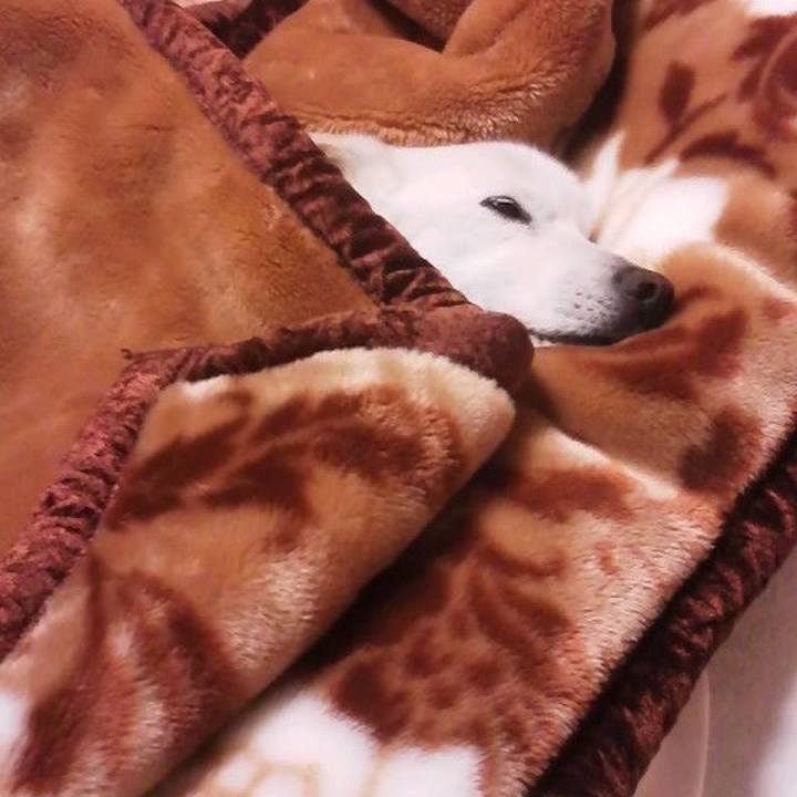 Ecd2d96f eee2 4793 8d71 98577a1028f2