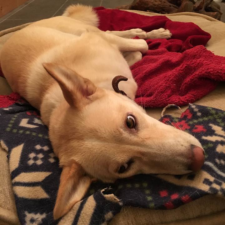 Ecd2eff1 ac71 4cbb aba7 c87f2c3a8f2a