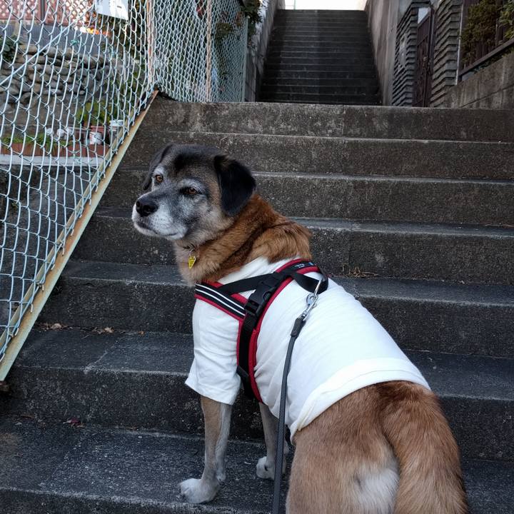 Ecd32fef 109a 43e2 92d7 54222cffe825