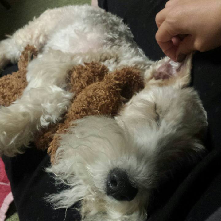 Ecd34fab d934 4917 848b 12790493b17b