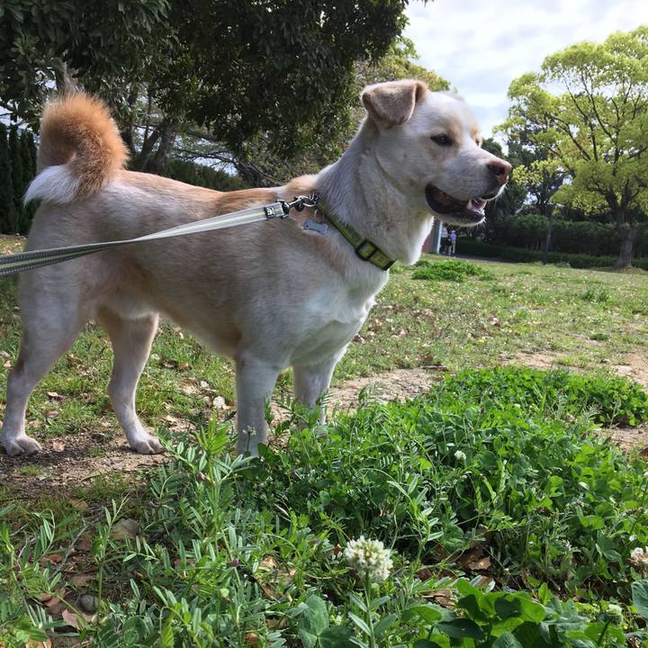 Ecd35612 e206 49ab 9d2e db3bec431f4b