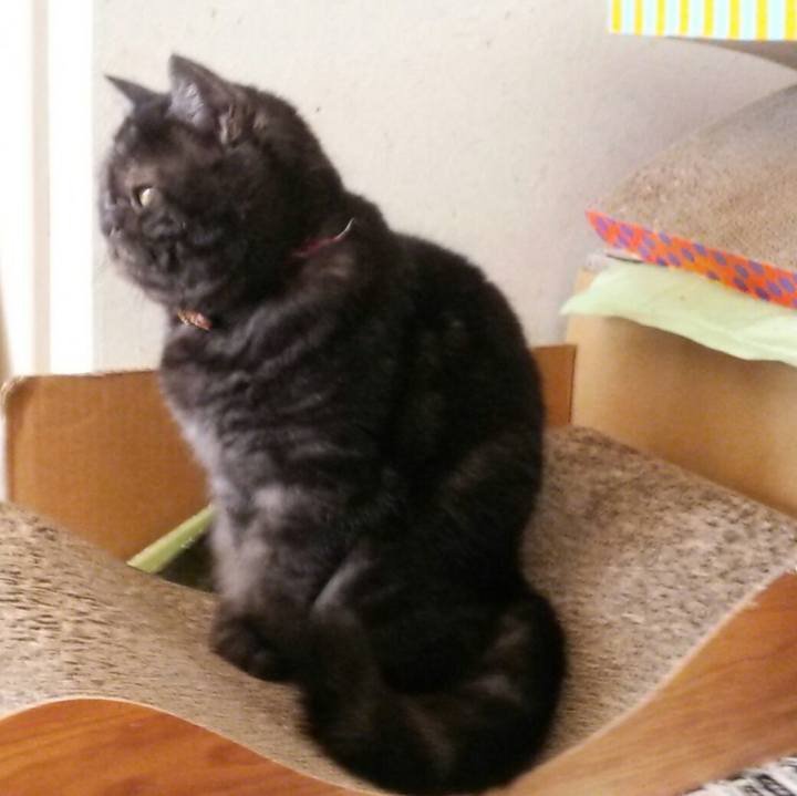 Ecd370c2 d3ad 477c bbce 6c084d31e334