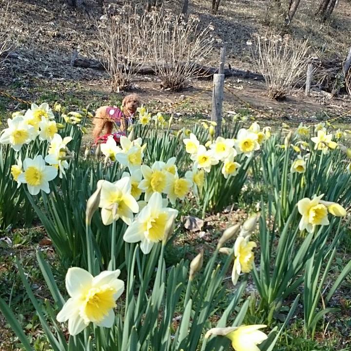 Ecd3f36a 4eb9 4fa8 9c5f f9b48e74237e