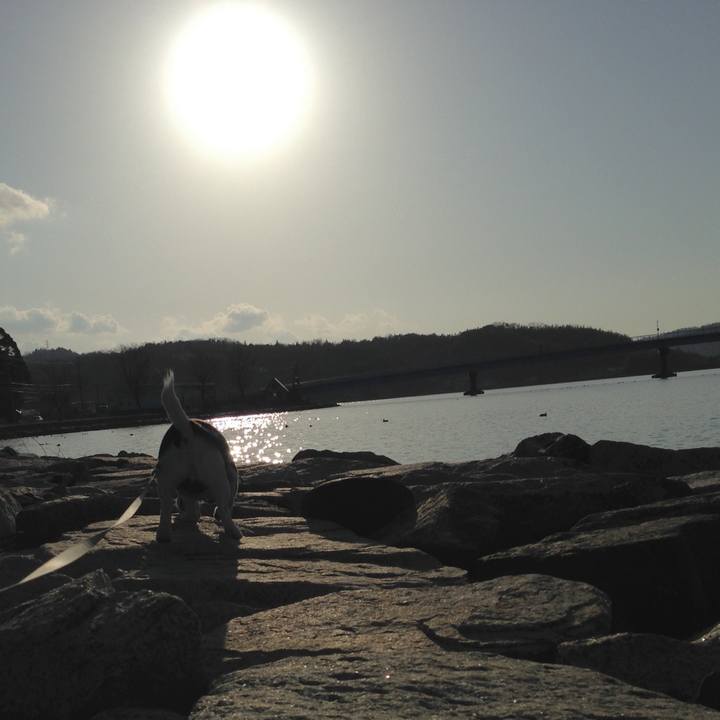 Ecd40f41 6f6f 4a2a 84ec 8516101a2587