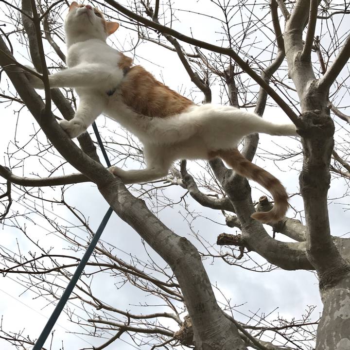 Ecd45de0 4820 436e b106 5877a936c3ad