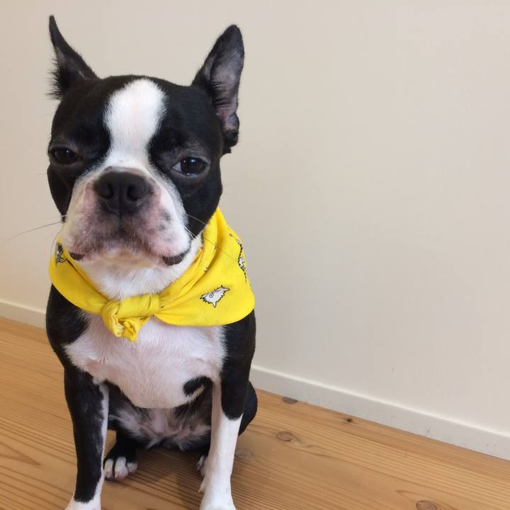 Ecd5981b c2d6 41f4 b031 2d7332e8ff98