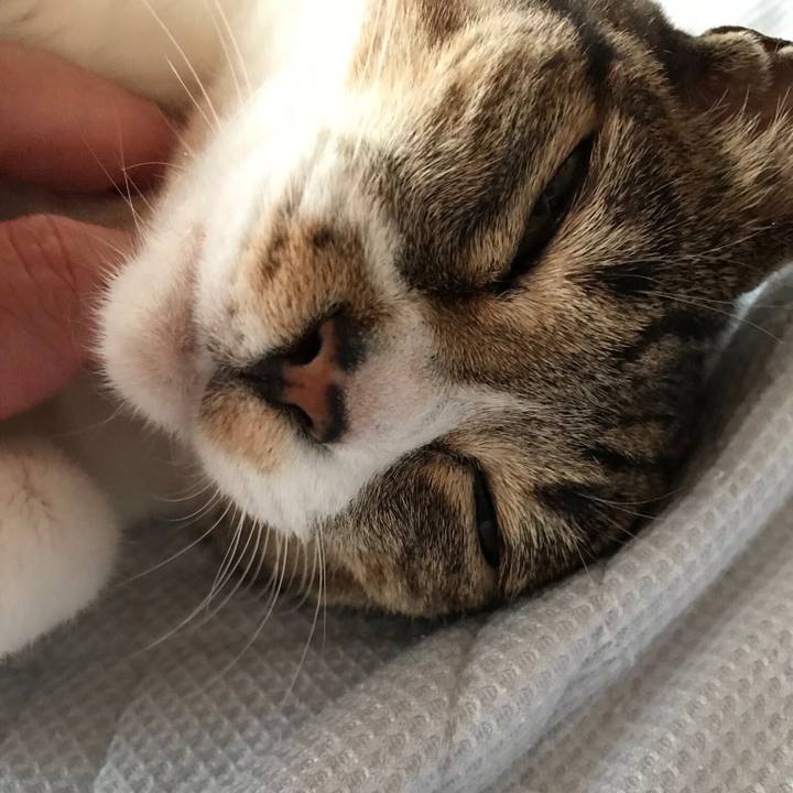 Ecd634ba e189 4be3 b92c a356f042b38e