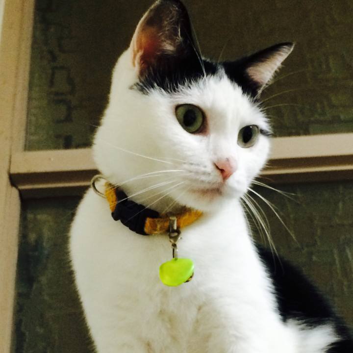 Ecd63e10 7a69 4aa1 99ae ba7c66fde254