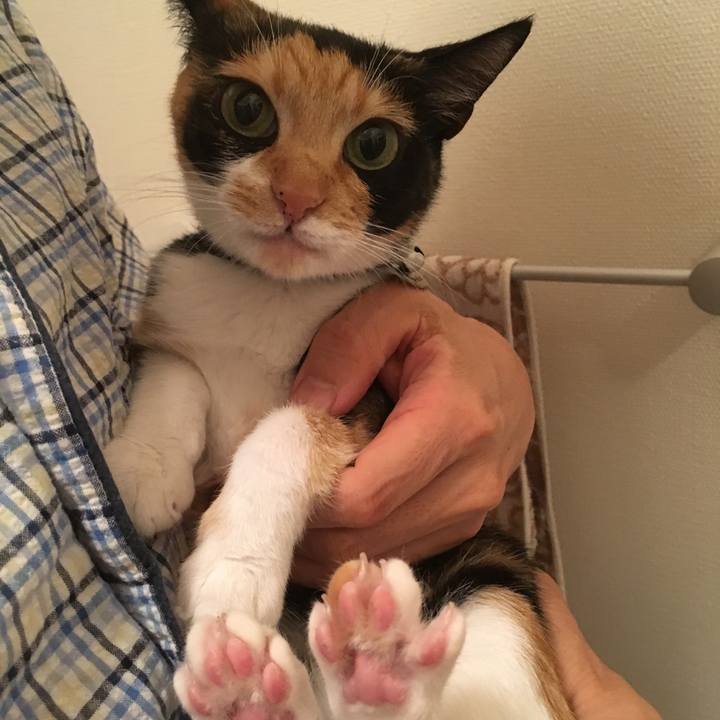 Ecd64dac 9628 4e6e 8b21 1dfa6077ba77