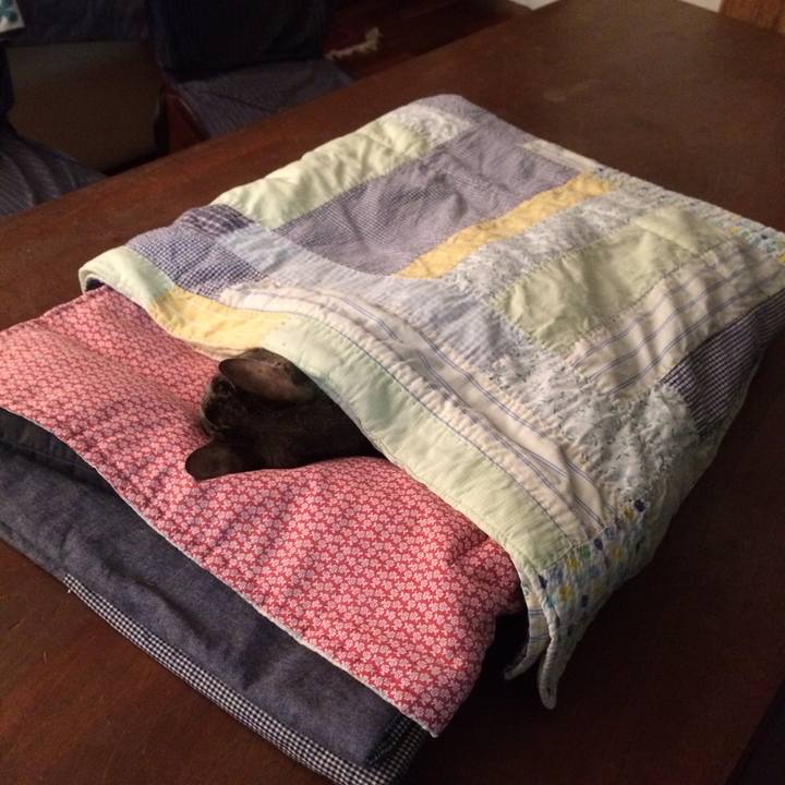 Ecd79c7c 9380 404c b2cb d85c974e4b39