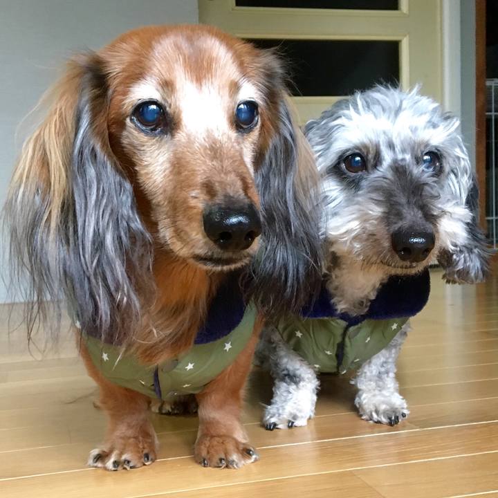 Ecd7e3cc ee77 40ad 8830 3aabca7ad6c1