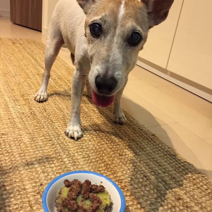 Ecd8ea25 74df 46b3 a90b 58f192e5b543