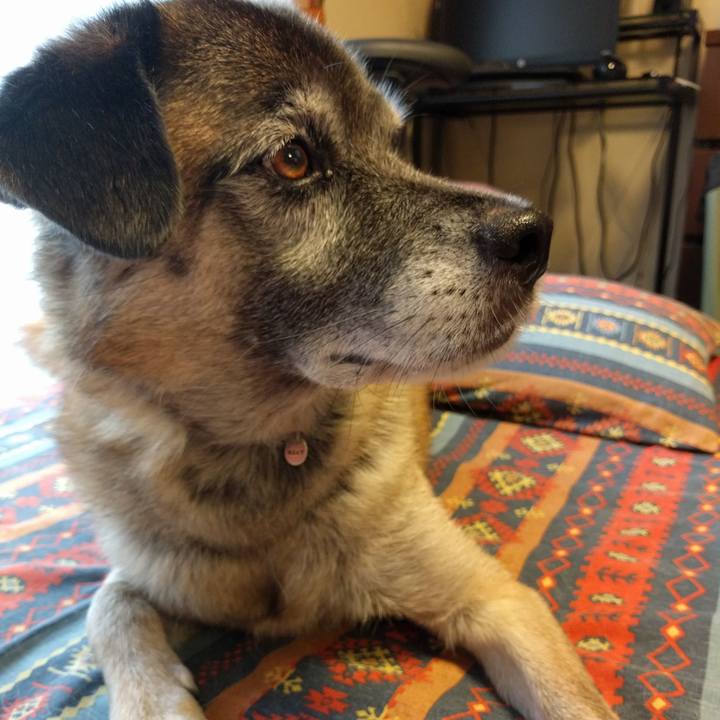 Ecd91ba7 9d4b 468c bad2 9e5926aa2ad5