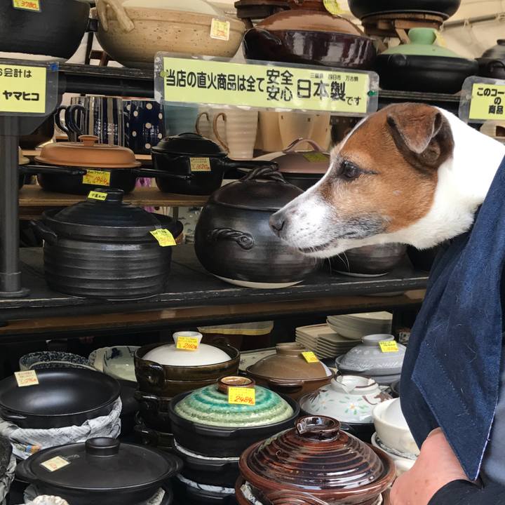 Ecd94dc0 5b31 4a3f bdf0 33a1d7217d33