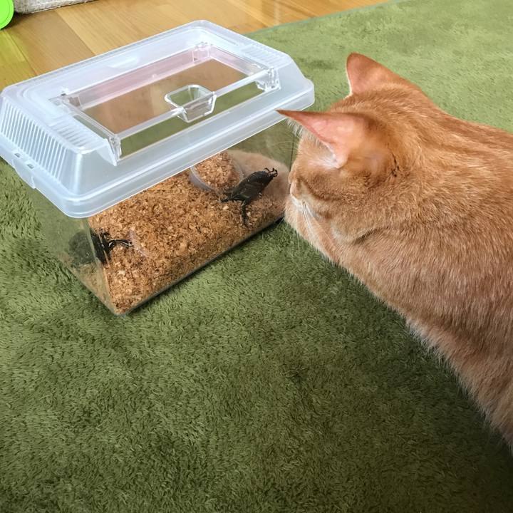 Ecdab2ee 46b4 4c11 abbd 2ef51ef9a247