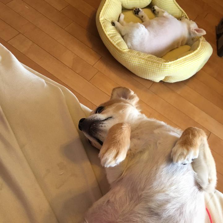 Ecdb0770 9c57 4439 accb 234565bd68f5