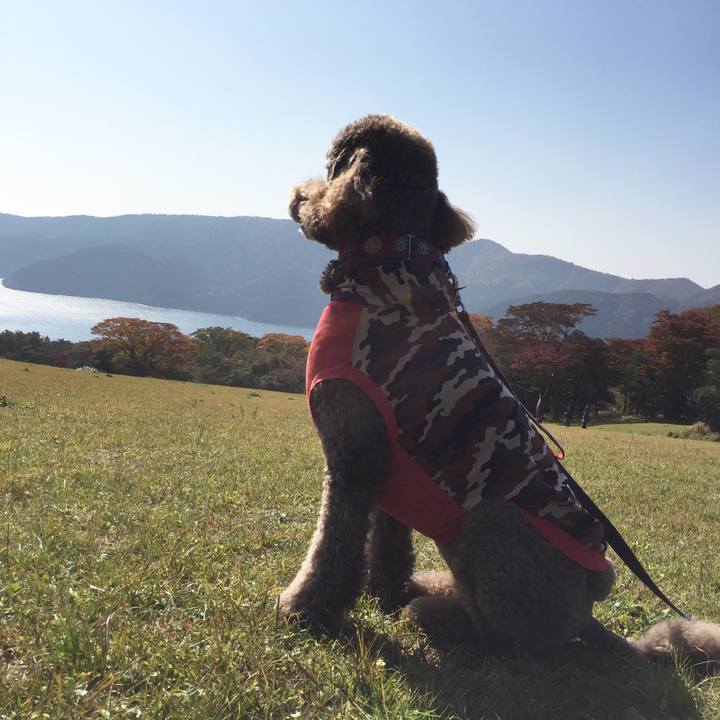 Ecdb677d 757c 4c7f b08c 317dcd88a229