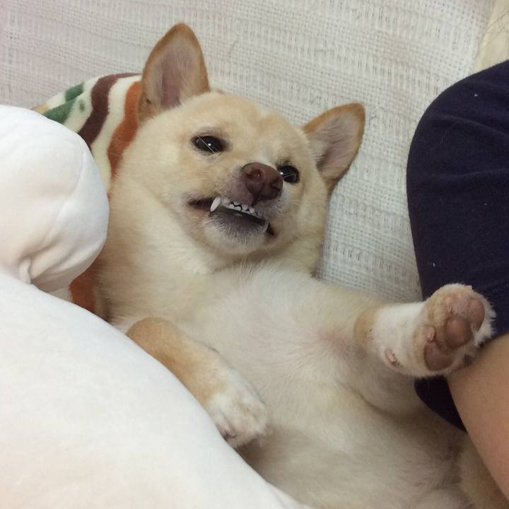 Ecdc657d cf5c 4a50 88f1 15a39af47b67