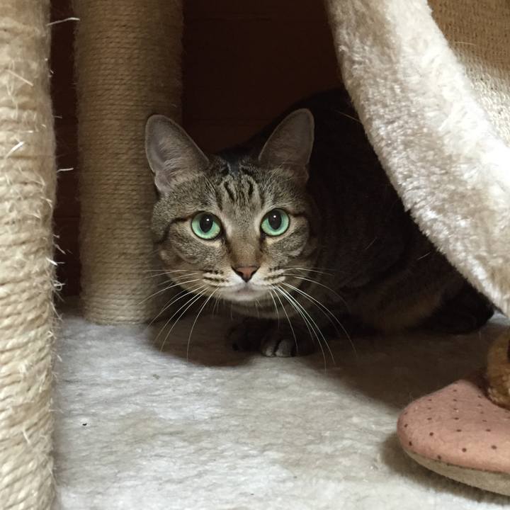 Ecdc9fff 86cc 4fd9 a770 686e1f39d29e