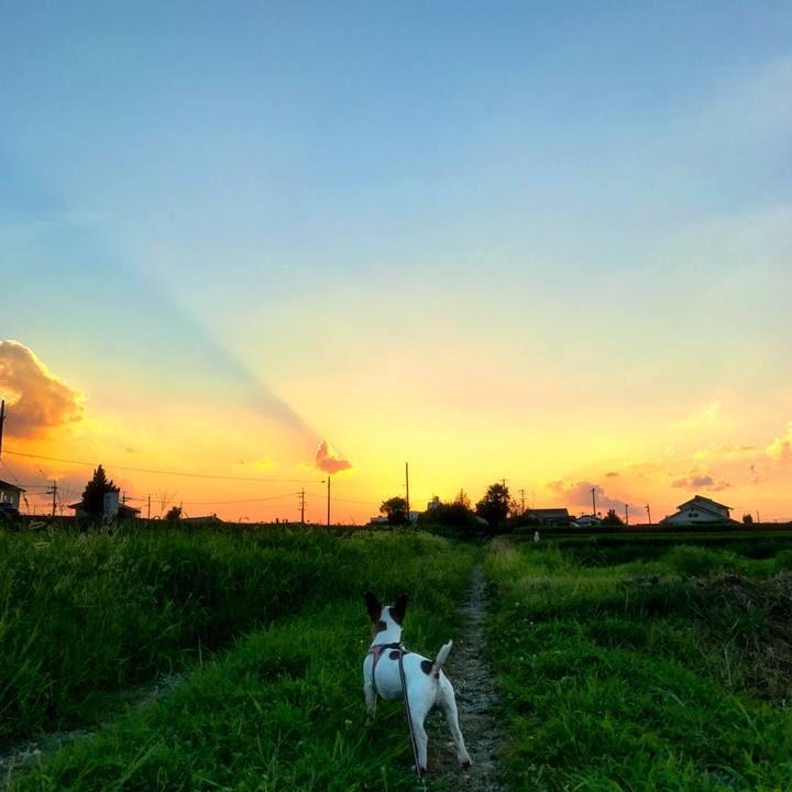 Ecdcb5c7 4956 48a0 8e02 52db7381b591