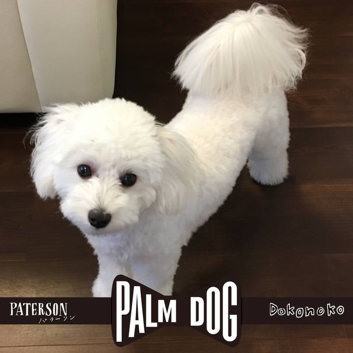 Ecdd5b28 a7cb 4194 a6f1 e9f90c8fd05e