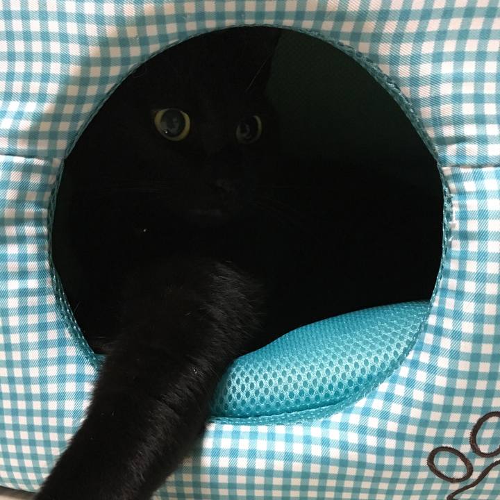 Ecdd8b21 4ae9 4cd7 a8aa 1205c5d2fa0e