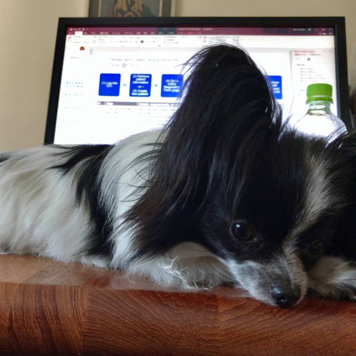 Ecdfdef6 1d8b 4ffb a3d5 f110488803ec