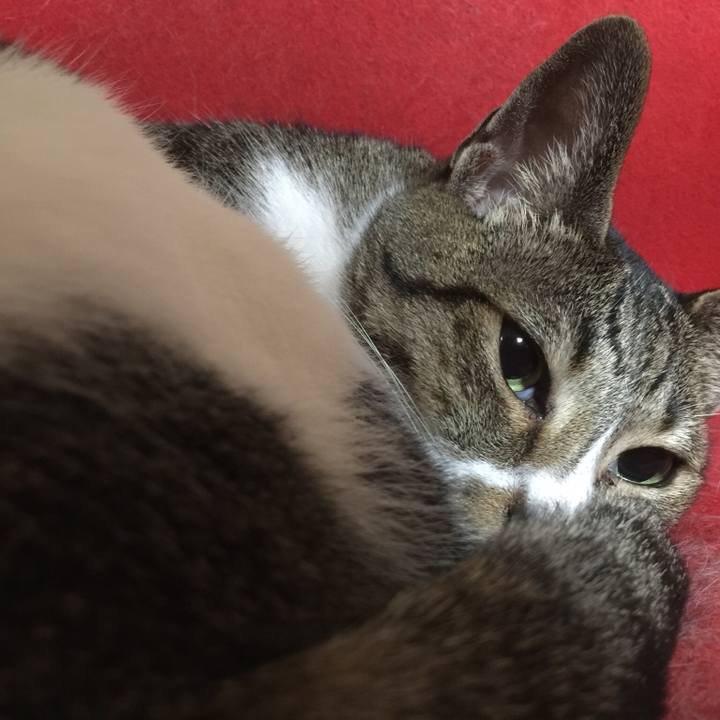 Ece03d28 0684 4050 9762 44d2c4929de9