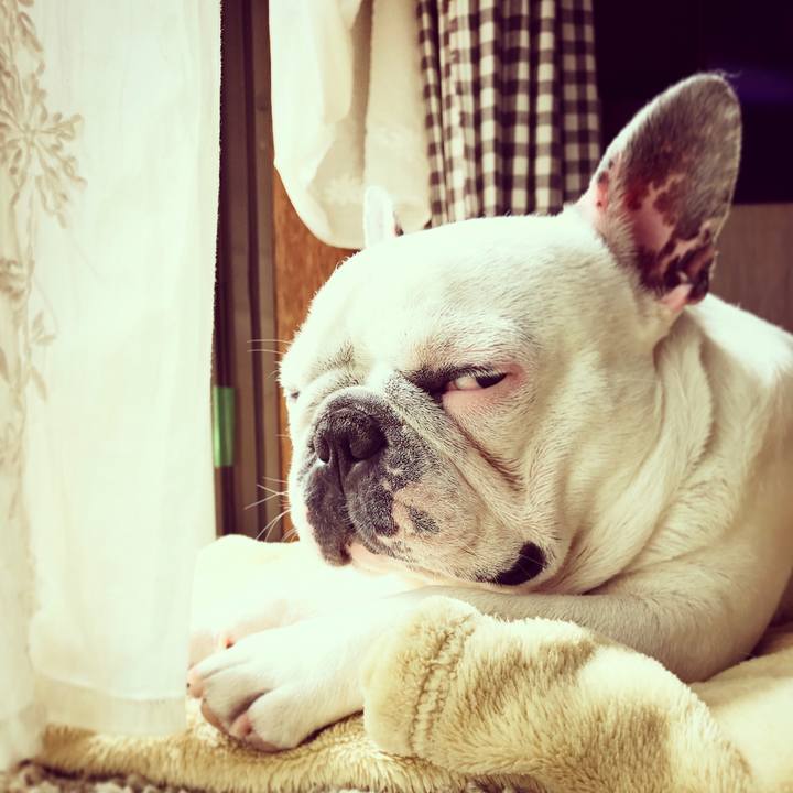 Ece0eea0 5557 42dc bd45 35419e1f0a2a