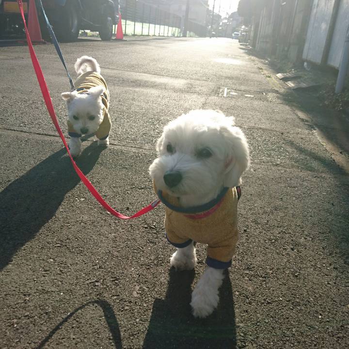 Ece18904 bef8 45d1 a95a 755c5efb9a4f