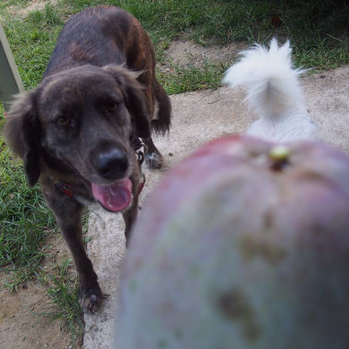 Ece1e198 d85e 4eb4 abe4 52ca5df5e9fc