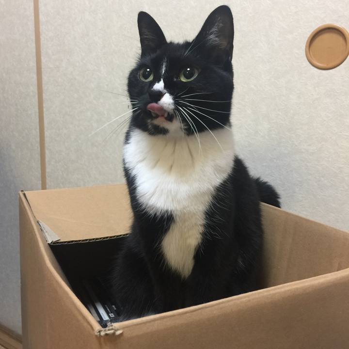 Ece22d25 a69d 4999 a992 37c8f9d6e76a