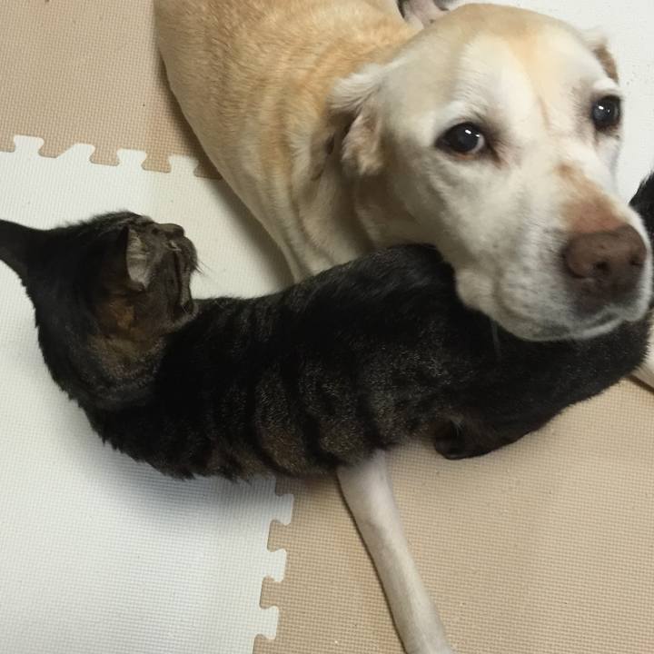 Ece27776 5fd5 47a3 9565 d11effacf329