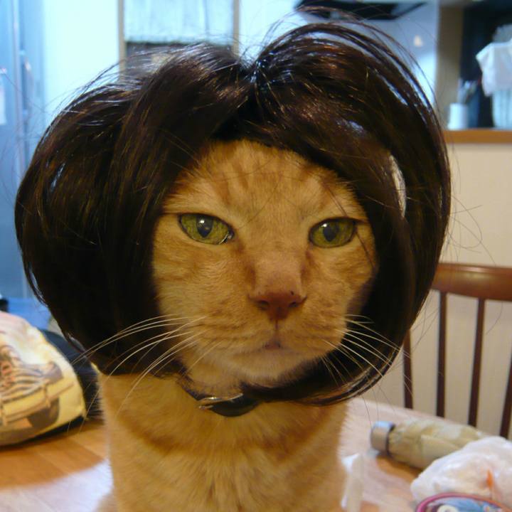 Ece2aa47 c2fb 4e7e a5b4 2e58fa58b7b3