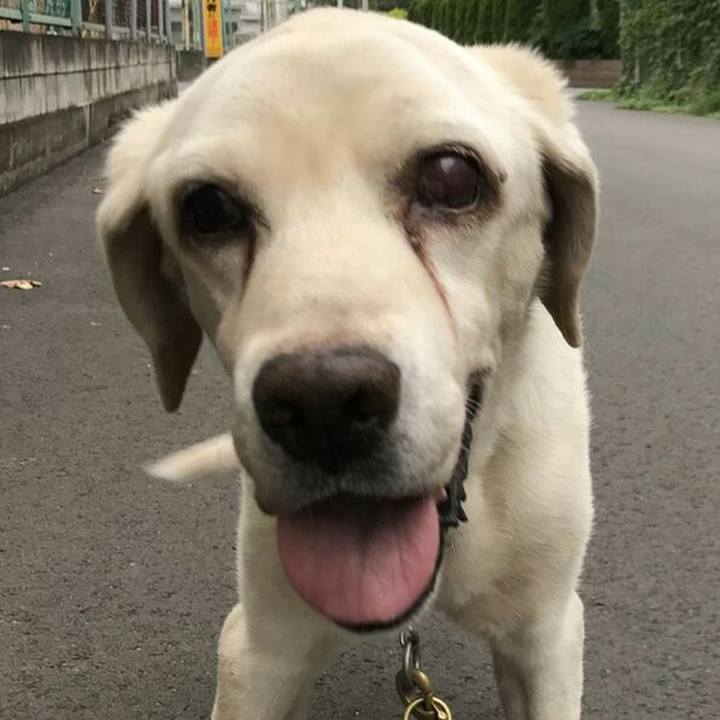 Ece2b09f 9418 4612 9d74 a74078e133de