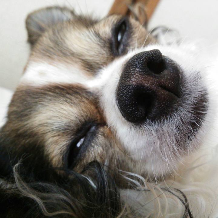 Ece2e938 2d55 4767 9983 fedf90040944