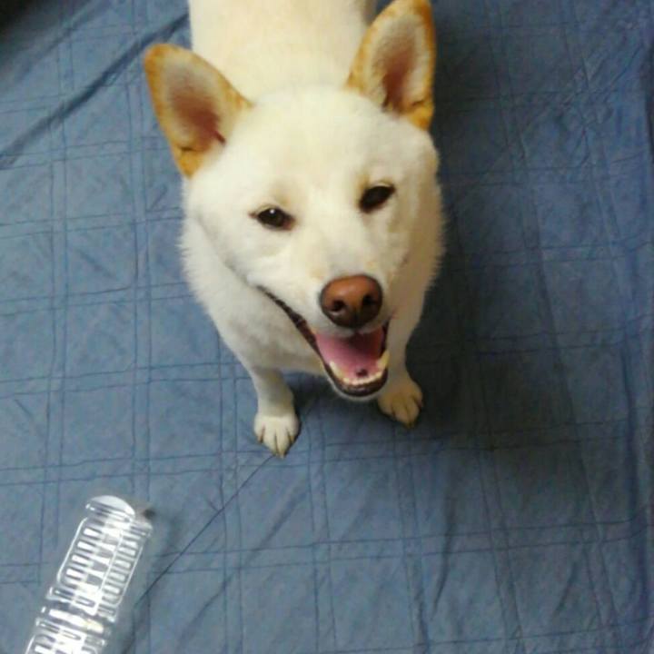 Ece33101 4524 4229 873b 4cf529b11955