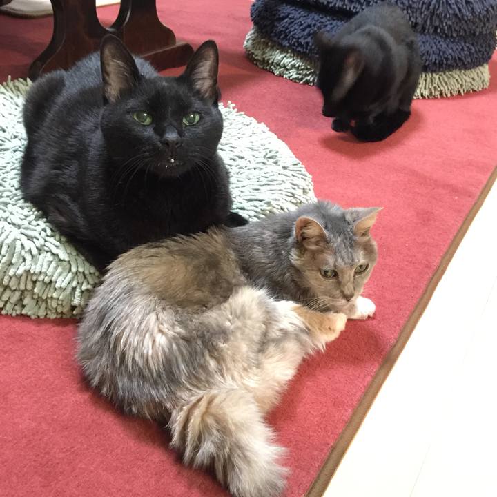 Ece36f49 ec7e 4cd9 a22d ca98c3901c35