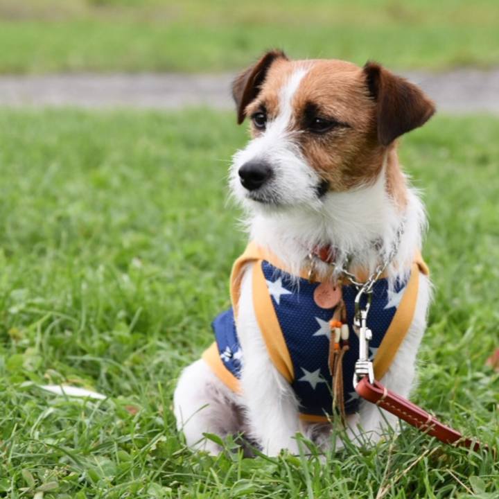 Ece46015 7413 4064 88e4 5ff19f8e6c99