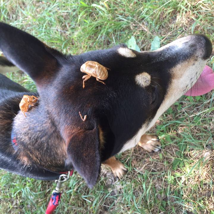 Ece4d7a6 9bb3 4b2e 8dcb 2d21fd33588d