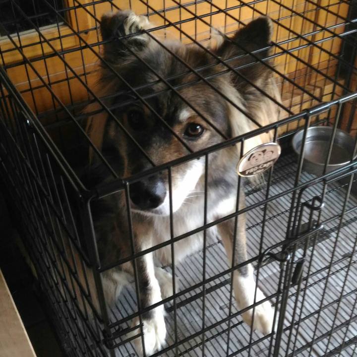 Ece540a9 1b06 4f9e a33d 42ea2888ebea